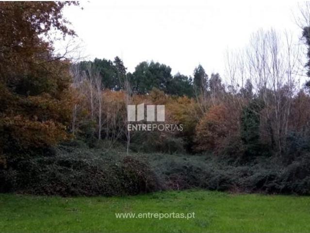 Casaa 1 quarto, Amarante Amarante DLS102838237