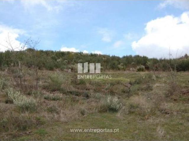 Casaa 1 quarto, Amarante Amarante DLS102239753