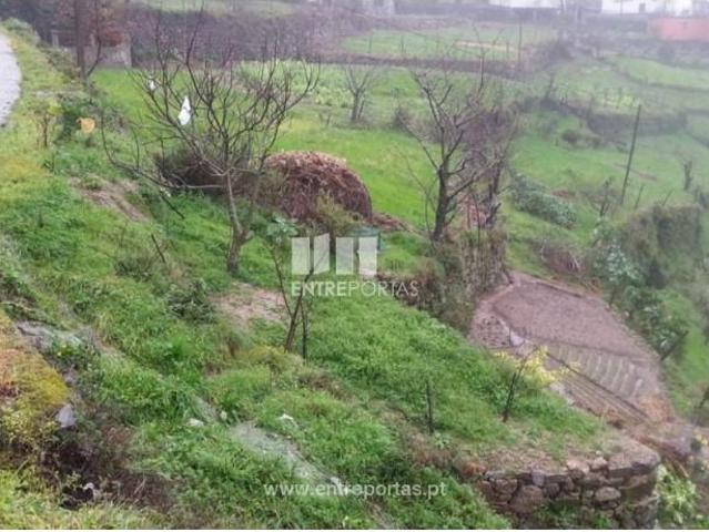 Casaa 1 quarto, Baião Baião DLS102714325