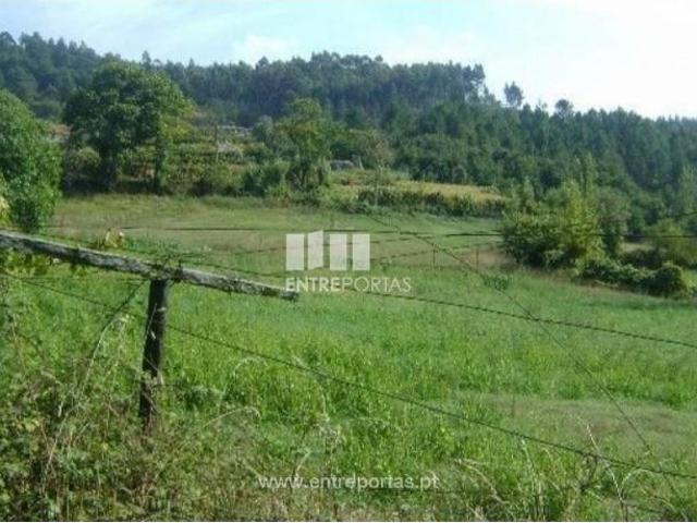 Casaa 1 quarto, Baião Baião DLS102239785