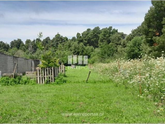 Casaa 1 quarto, Caminha Caminha DS97650546