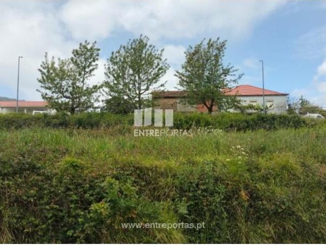 Casaa 1 quarto, Caminha Caminha DS99788674