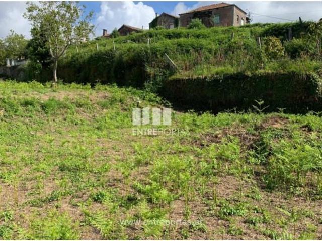 Casaa 1 quarto, Caminha Caminha DS102039709