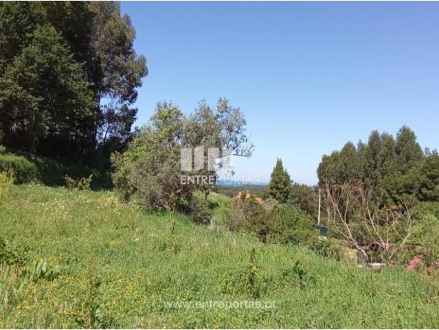 Casaa 1 quarto, Caminha Caminha DS102356565