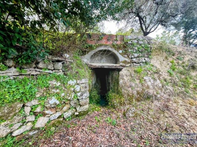 Casaa 1 quarto, Castelo Branco Fundão 6230 DLS98703401