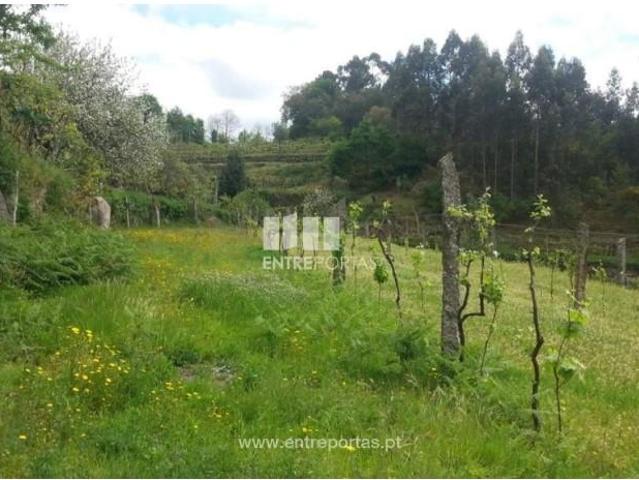 Casaa 1 quarto, Castelo de Paiva Castelo de Paiva DS90292545