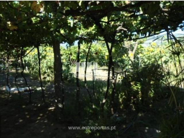 Casaa 1 quarto, Castelo de Paiva Castelo de Paiva DS90436696