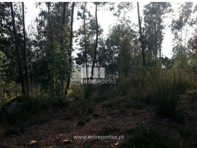 Casaa 1 quarto, Castelo de Paiva Castelo de Paiva DS101433995