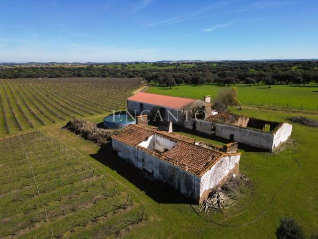 Casaa 1 quarto, Estremoz Estremoz DLS100258467