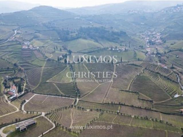 Casaa 1 quarto, Lamego Lamego DS88329942