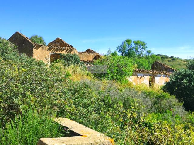 Casaa 1 quarto, Lagos Algarve DS99722909