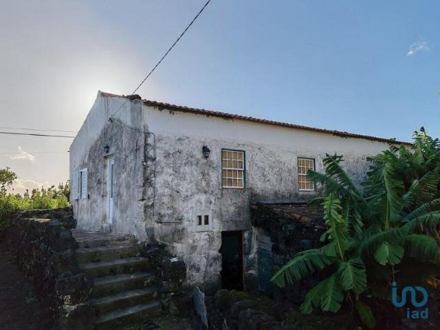 Casaa 1 quarto, Madalena Madalena DS91854865