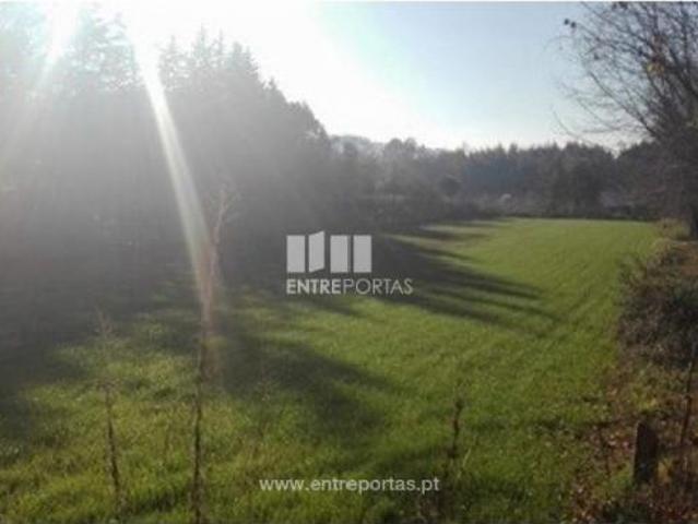Casaa 1 quarto, Maia Maia DS88825344