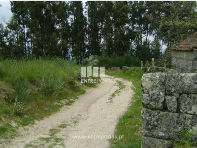 Casaa 1 quarto, Marco de Canaveses Marco de Canaveses DLS102647162