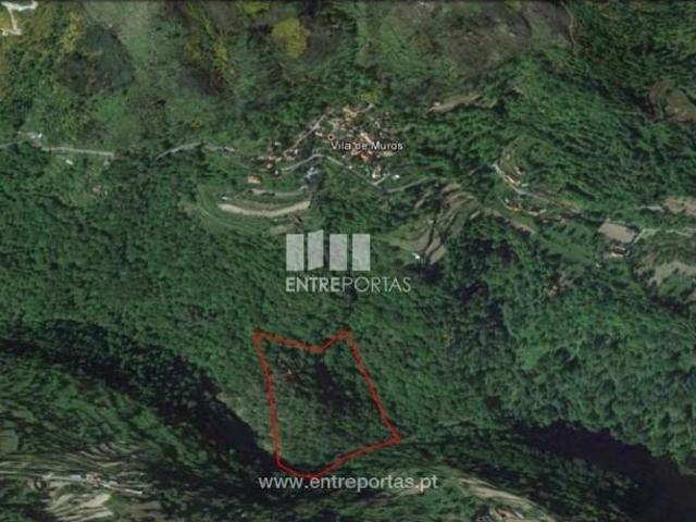 Casaa 1 quarto, Marco de Canaveses Marco de Canaveses DLS102686940