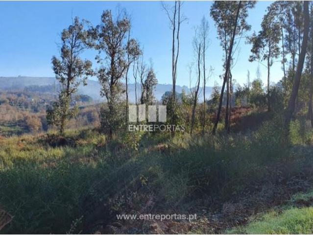 Casaa 1 quarto, Marco de Canaveses Marco de Canaveses DLS102744101