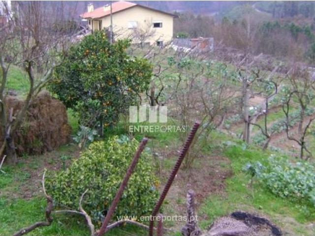 Casaa 1 quarto, Marco de Canaveses Marco de Canaveses DLS102790472