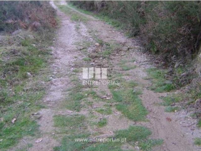 Casaa 1 quarto, Marco de Canaveses Marco de Canaveses DLS102790506