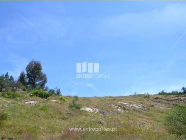 Casaa 1 quarto, Marco de Canaveses Marco de Canaveses DLS102790508