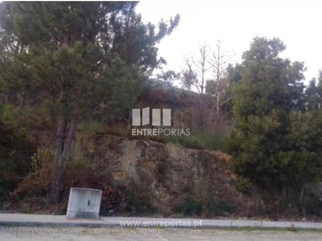 Casaa 1 quarto, Marco de Canaveses Marco de Canaveses DLS102714326