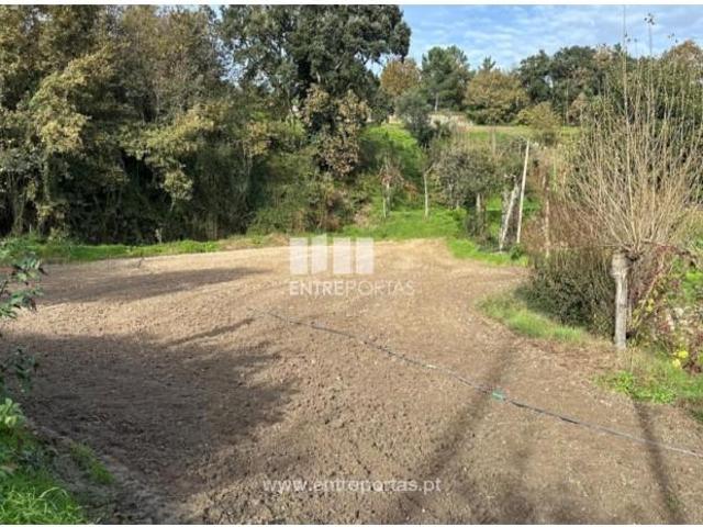 Casaa 1 quarto, Marco de Canaveses Marco de Canaveses DS97118349