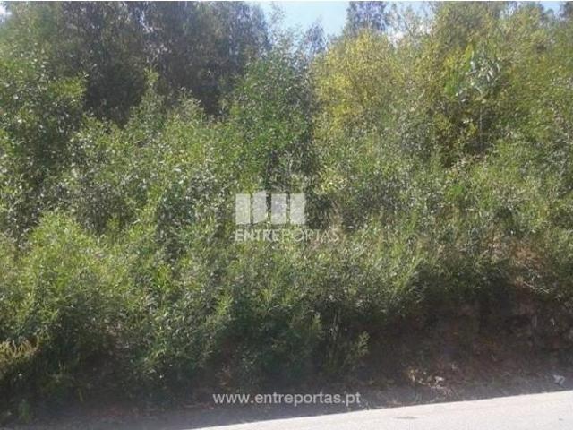 Casaa 1 quarto, Penafiel Penafiel DLS102467130