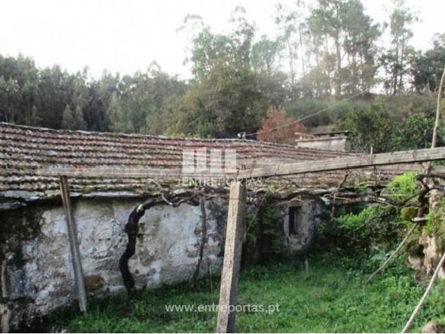 Casaa 1 quarto, Penafiel Penafiel DS103015891