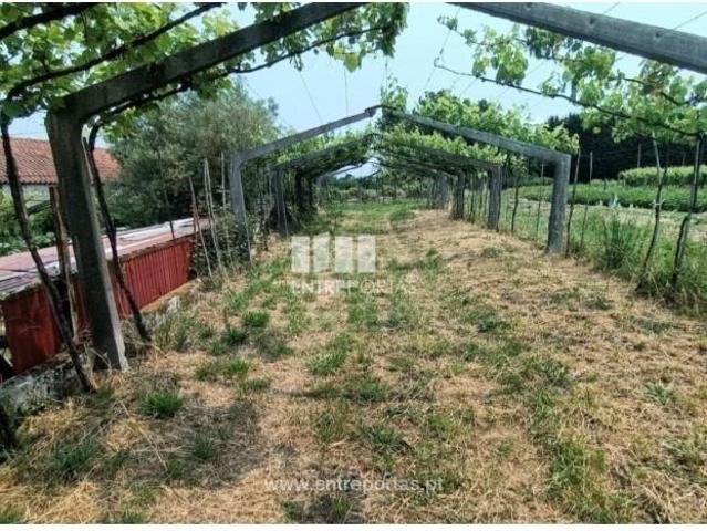Casaa 1 quarto, Ponte de Lima Ponte de Lima DS97054242