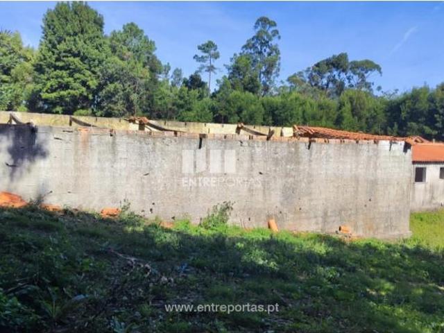 Casaa 1 quarto, Ponte de Lima Ponte de Lima DS103015865