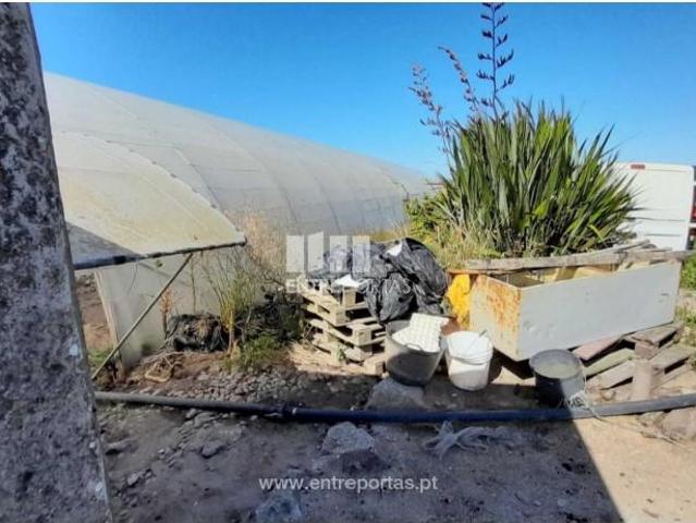Casaa 1 quarto, Póvoa de Varzim Póvoa de Varzim DLS102714306