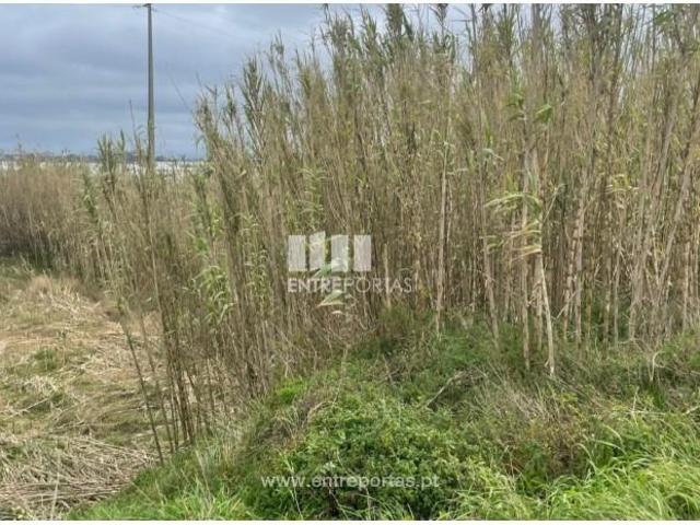 Casaa 1 quarto, Póvoa de Varzim Póvoa de Varzim DS97053604