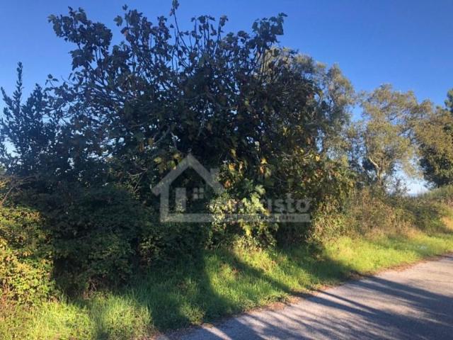 Casaa 1 quarto, Sertã Sertã DS102977774