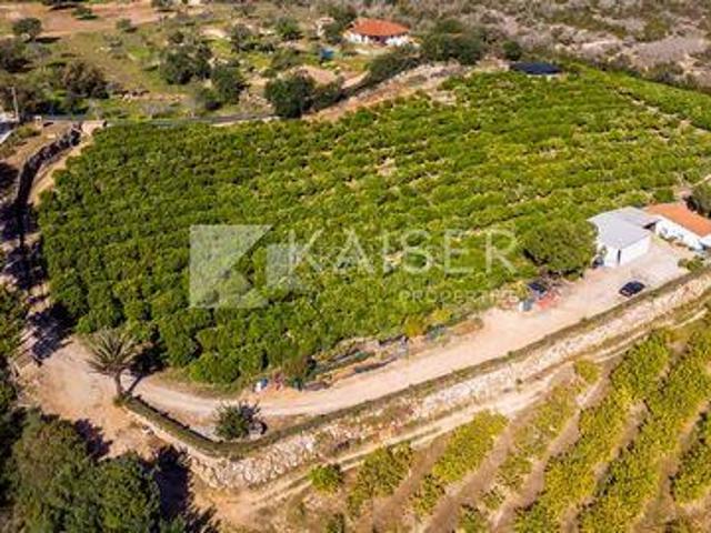 Casaa 1 quarto, Silves Faro DLS99518659
