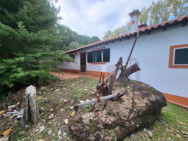 Casaa 2 quarto, Tomar Tomar DLS97601766