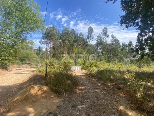 Casaa 2 quarto, Águeda Águeda DS94352299