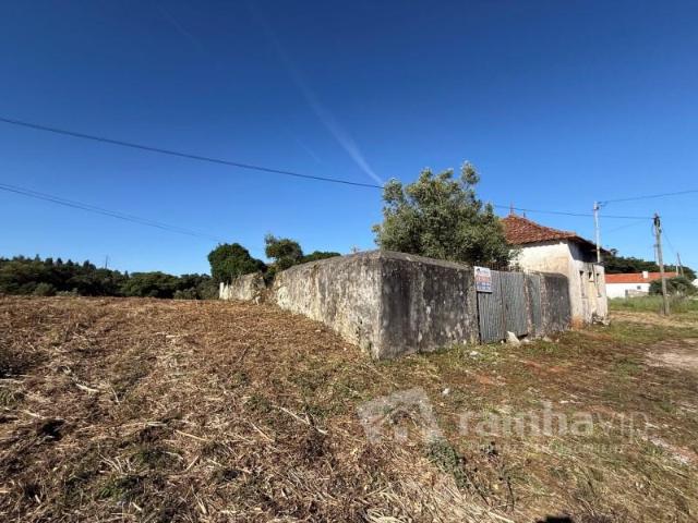 Casaa 2 quarto, Alcobaça Alcobaça DLS102527190