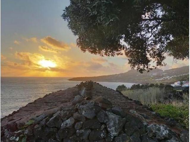 Casaa 2 quarto, Madalena Madalena DS101166313
