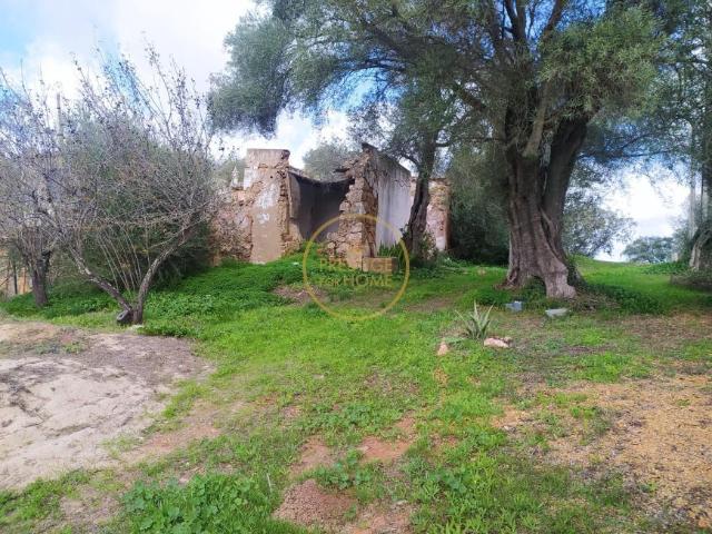 Casaa 2 quarto, Querença Algarve DS99726970