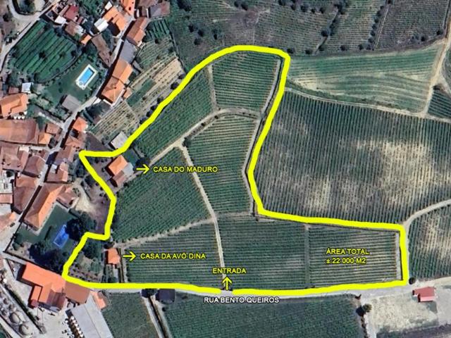 Casaa 3 quarto, União das freguesias de Castedo e Cotas União das freguesias de Castedo e Cotas 5070 ELS93885233