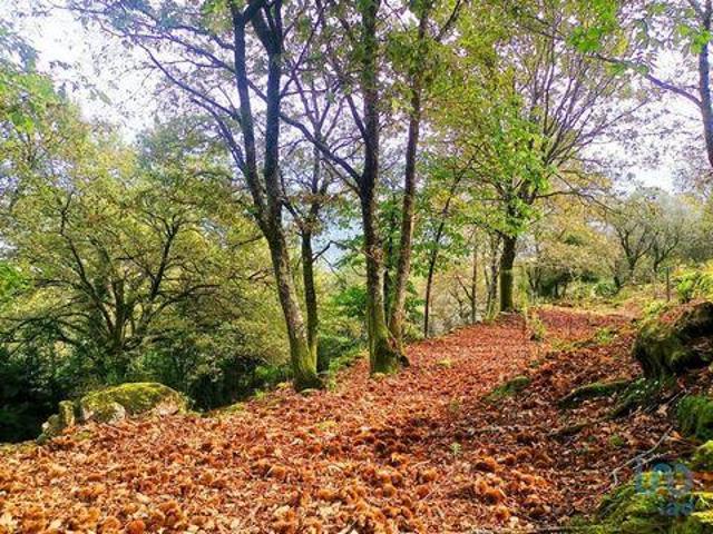 Casaa 3 quarto, Viana do Castelo Viana do Castelo 4905 591 DS87011957
