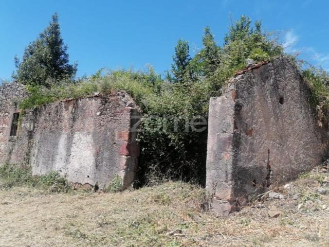 Casaa 3 quarto, Vila Nova de Poiares Vila Nova de Poiares DS102958487