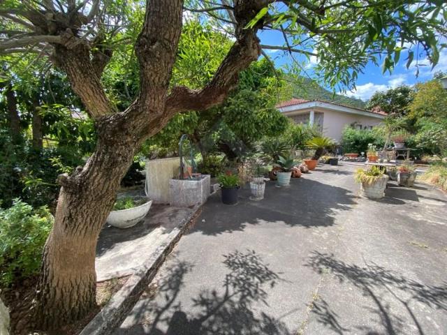Casaa 3 quarto, Alcanena Alcanena DS101645465