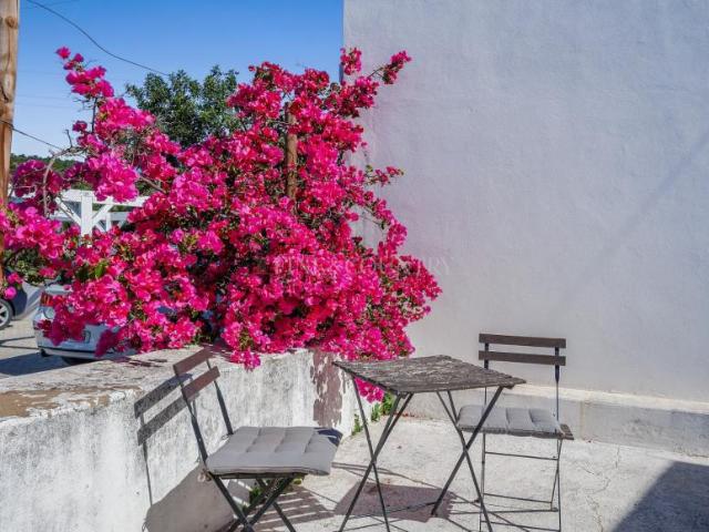 Casaa 3 quarto, Boliqueime Algarve DS102205479