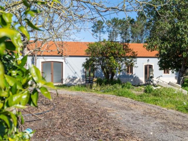 Casaa 3 quarto, Cantanhede Cantanhede DS101311128