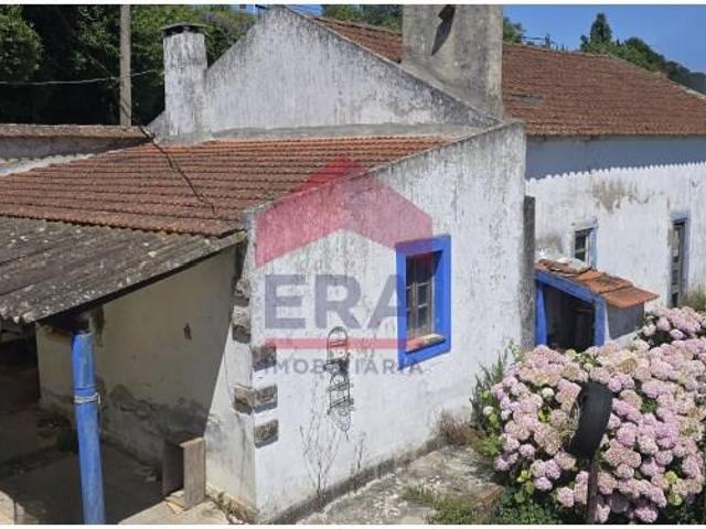 Casaa 3 quarto, Caldas da Rainha Caldas da Rainha DLS92223086