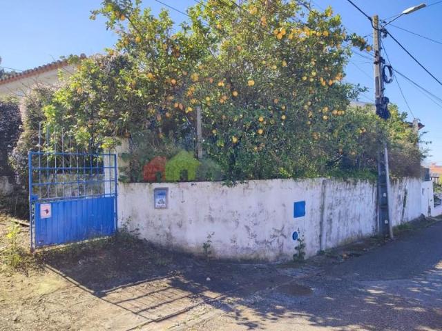 Casaa 3 quarto, Chamusca Chamusca DLS92532147