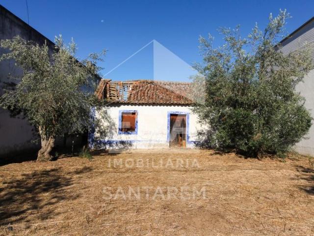 Casaa 3 quarto, Chamusca Chamusca DS101159794