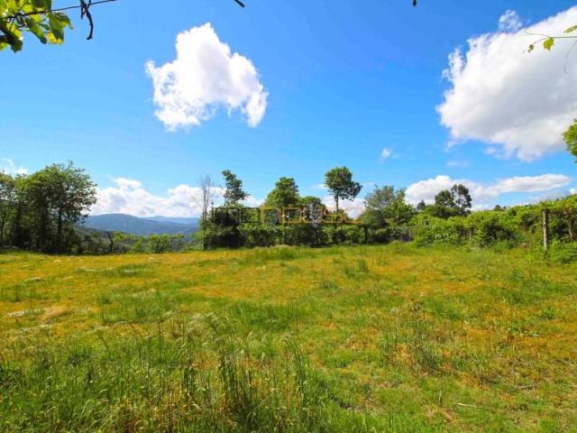 Casaa 3 quarto, Cinfães Cinfães DLS97121207