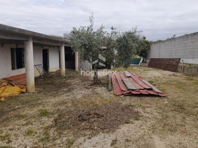 Casaa 3 quarto, Coimbra Soure 3130 DS101947664