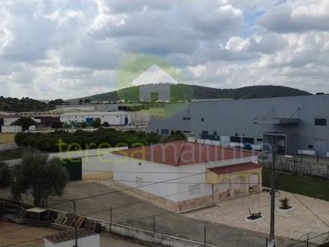 Casaa 3 quarto, Elvas Elvas DLS92131485